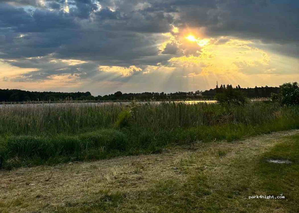 (62) Pamiątkowo - — foto