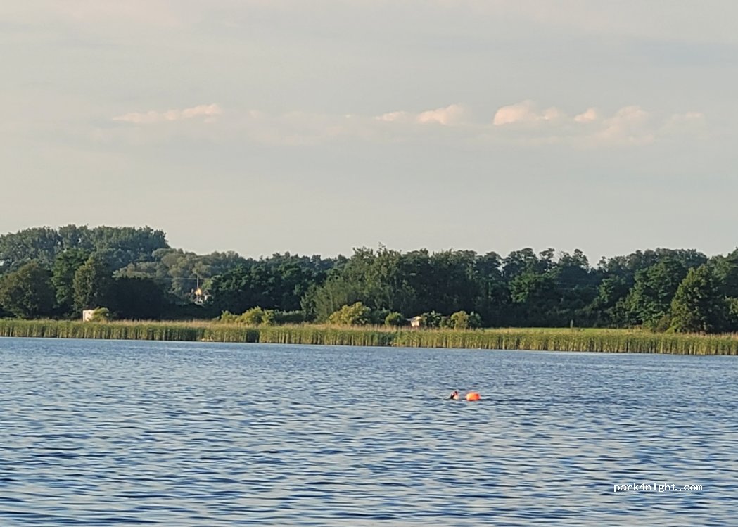 (62) Pamiątkowo - — foto 3