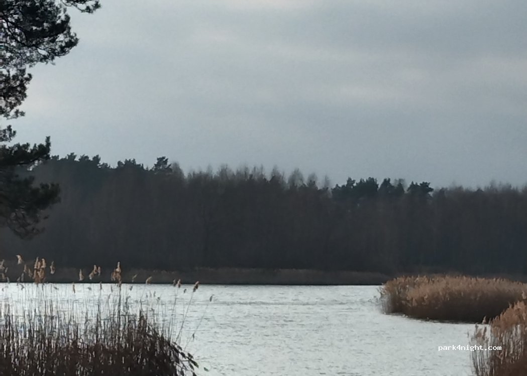 (98-275) Stefanów Ruszkowski - Unnamed Road — foto 4