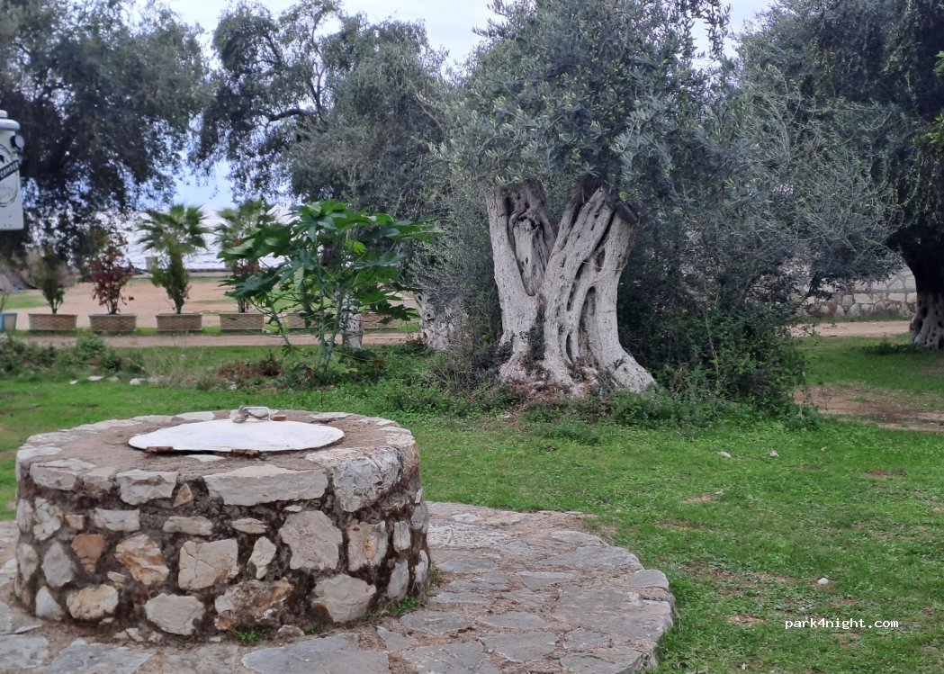 (9542) Himarë - 6 SH8 — foto 4