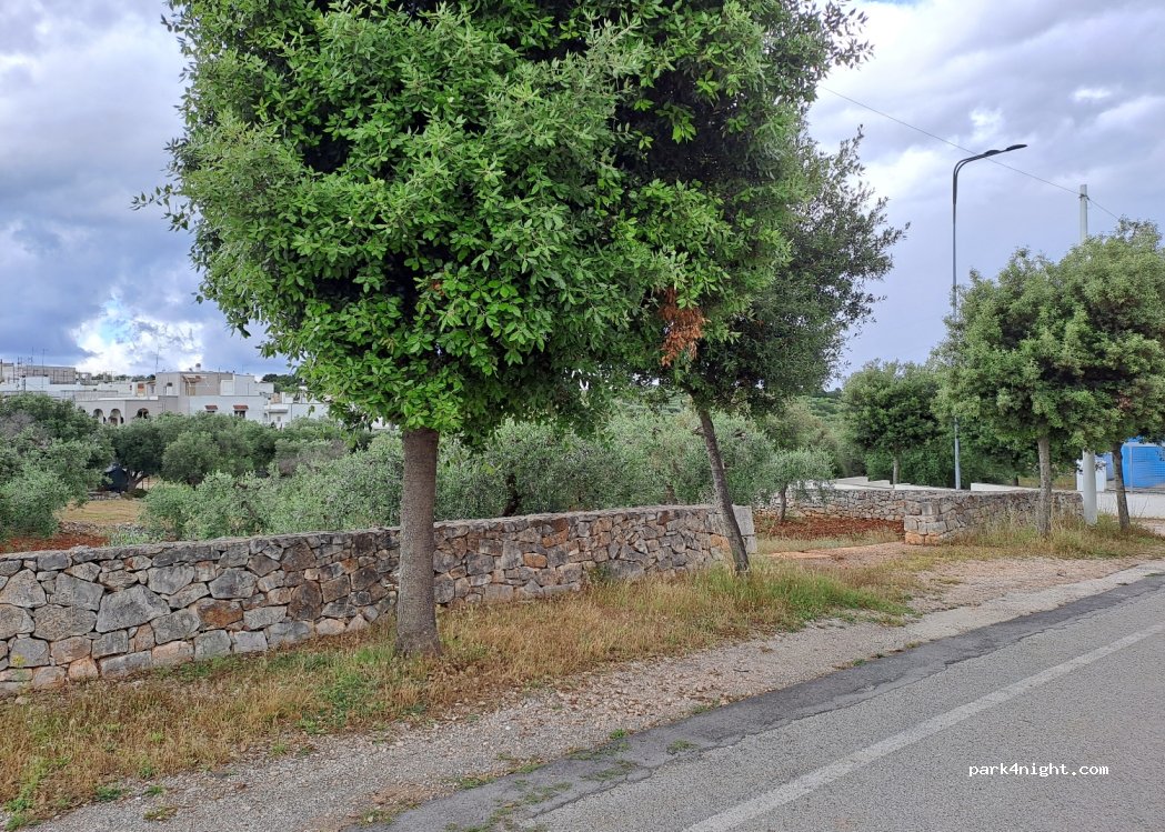 (72014) Cisternino - Via Giovanni Pascoli — foto 3