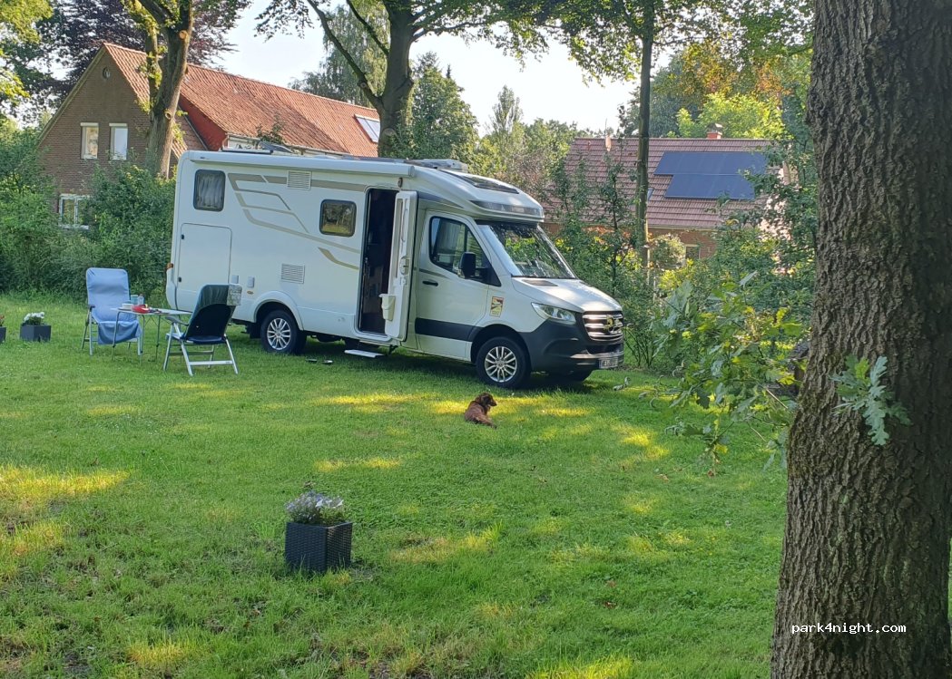 Wischengockel — foto 4