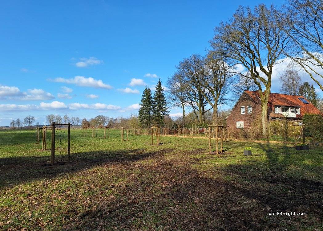 Wischengockel — foto 5