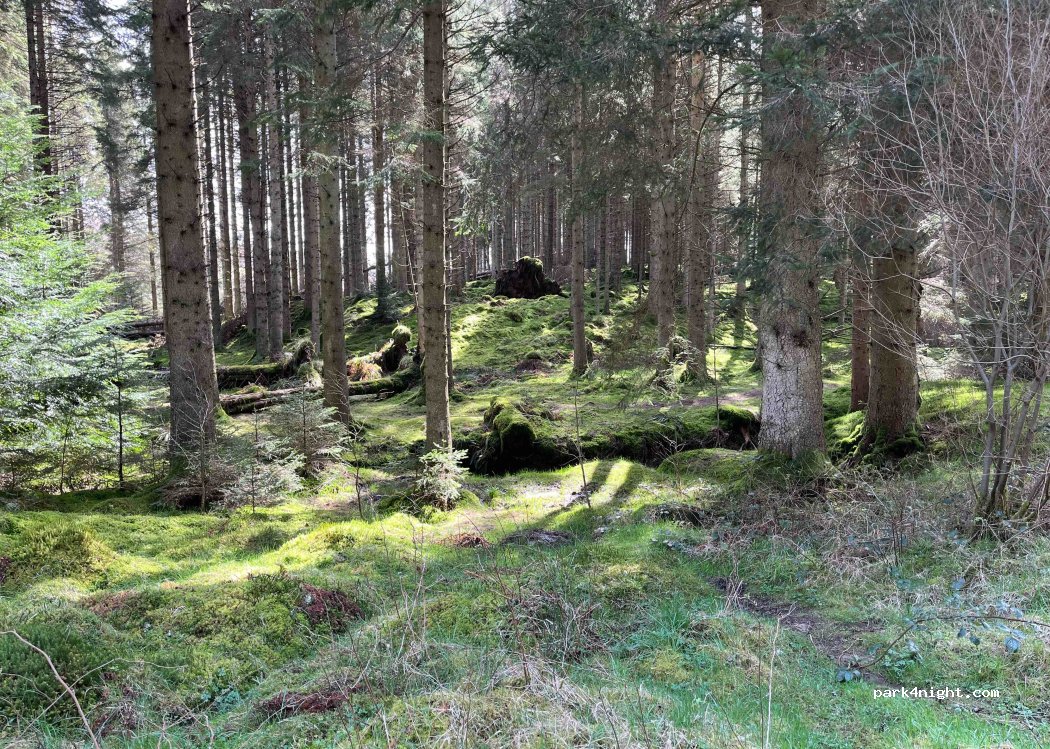 (NE48) Kielder - — foto 3