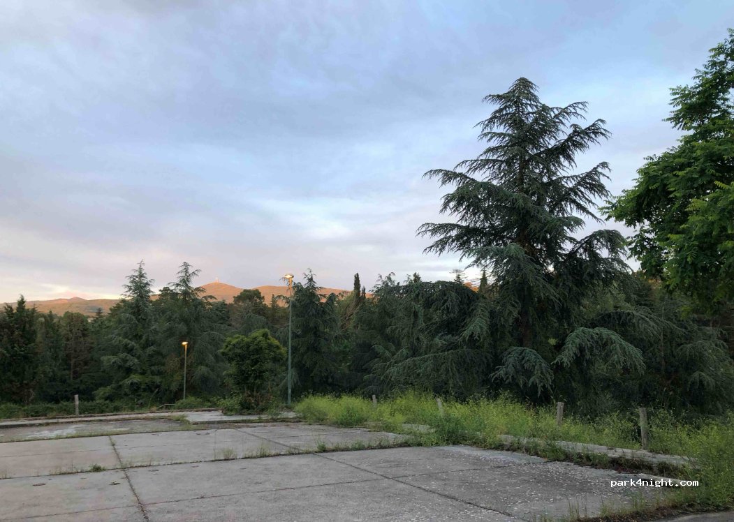 (07010) Foresta di Burgos - 21 SP43 — foto