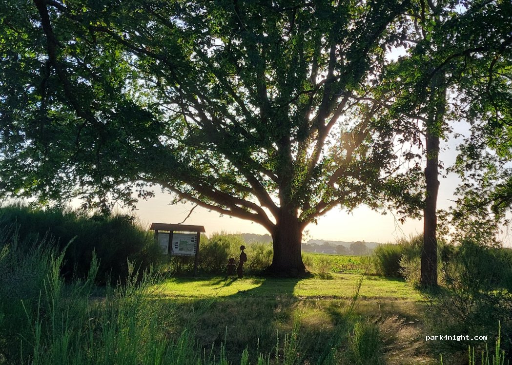 (02800) Versigny - Unnamed Road — foto 4