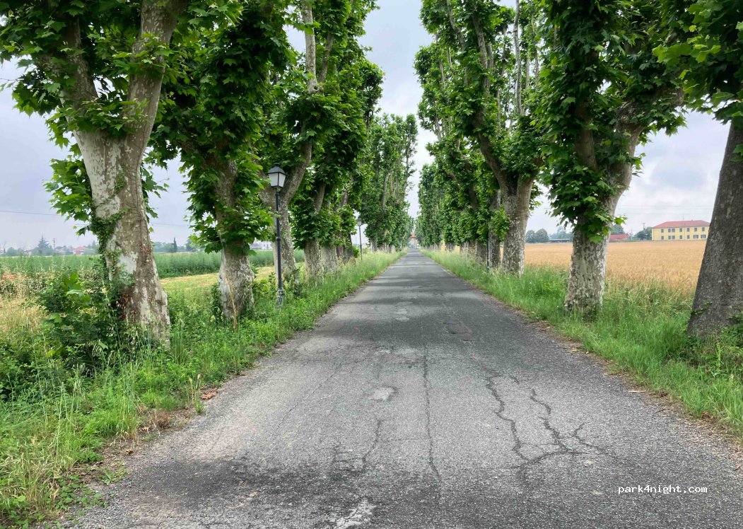 (15057) Cascina Rivalta Scrivia - Viale di Rivalta — foto