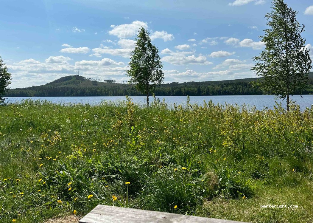 (820 46) Ramsjö - 83 — foto 3