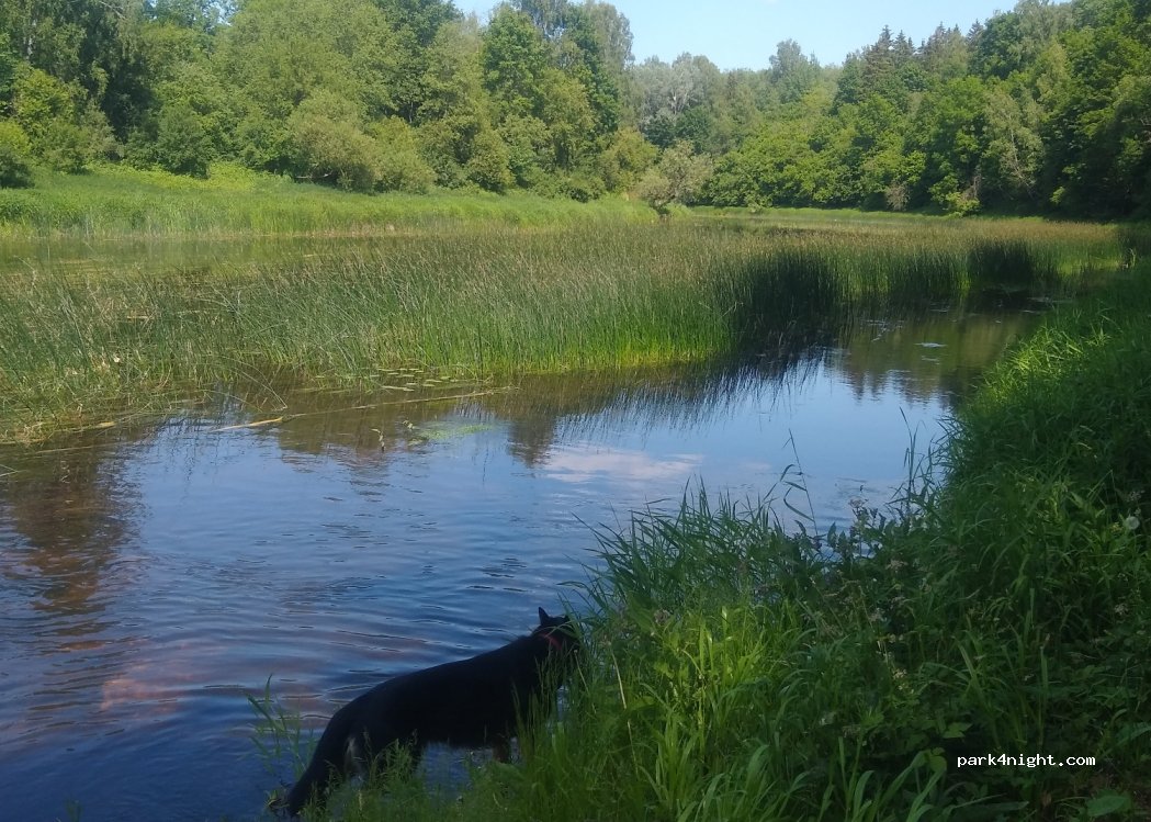 (41432) Velykionys - — foto 2
