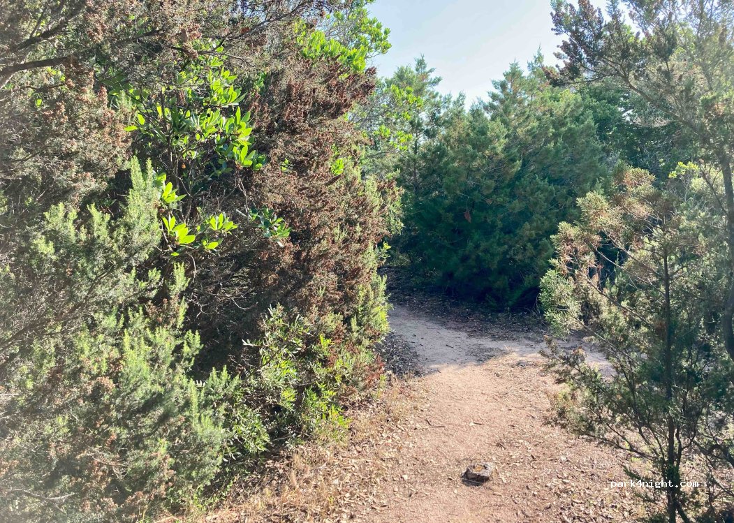 (20131) Figari - Unnamed Road — foto 2