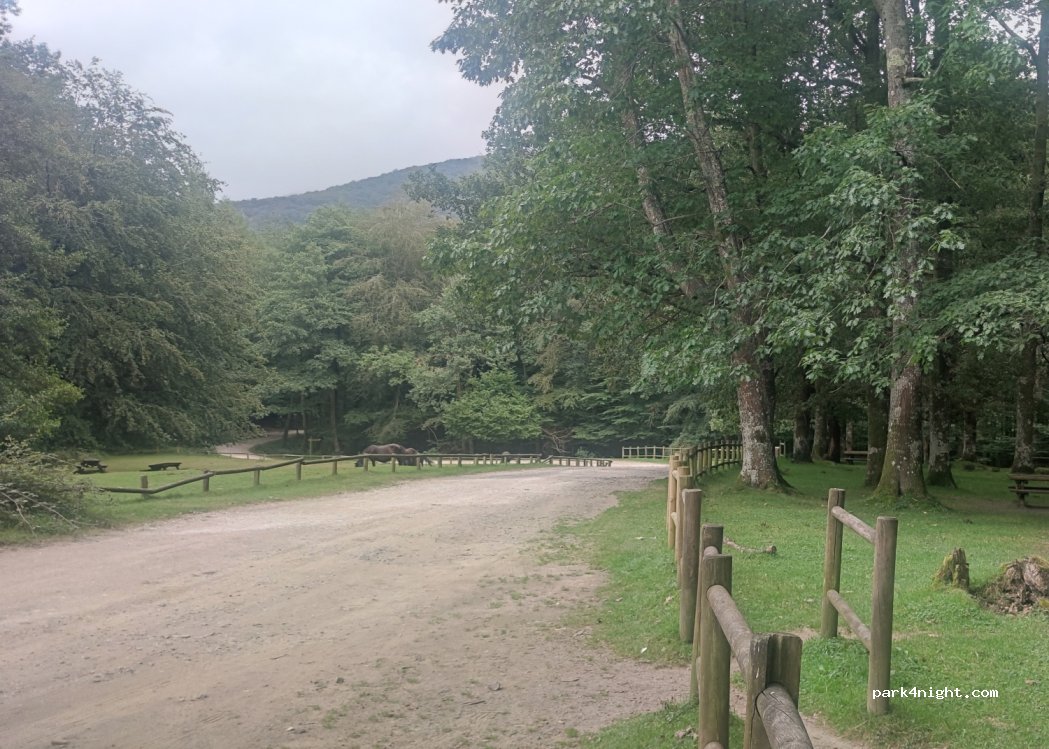 (31880) Leitza - Unnamed Road — foto