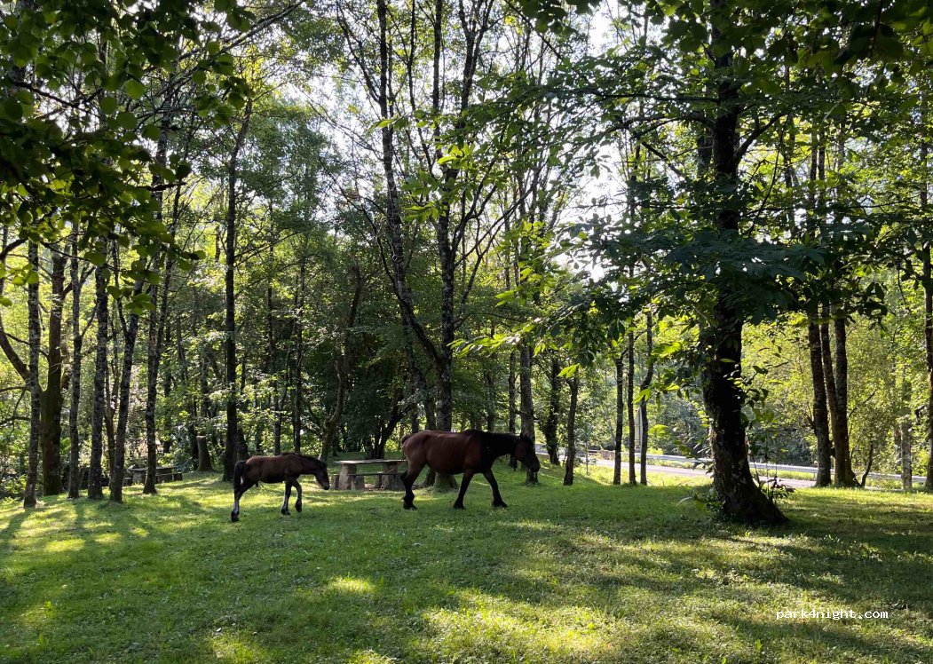 (31880) Leitza - Unnamed Road — foto 4