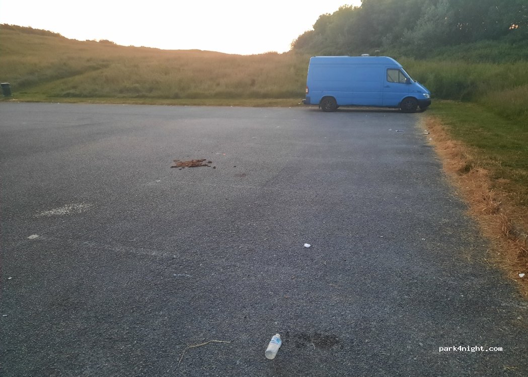 (SR6 7SF) Whitburn - 33 Shearwater — foto