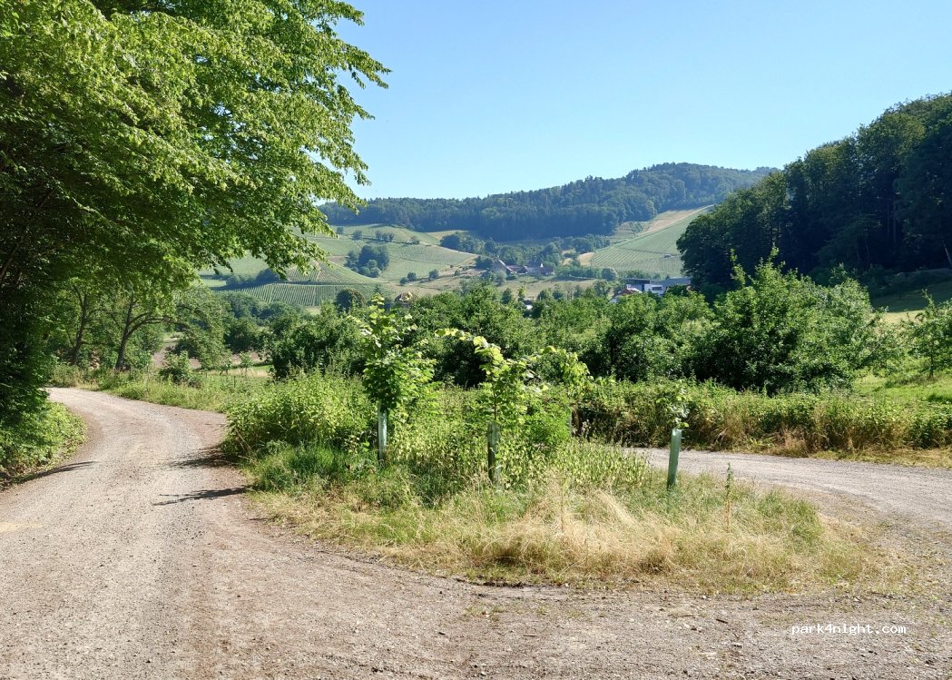 (79286) Glottertal - Unnamed Road — foto 2