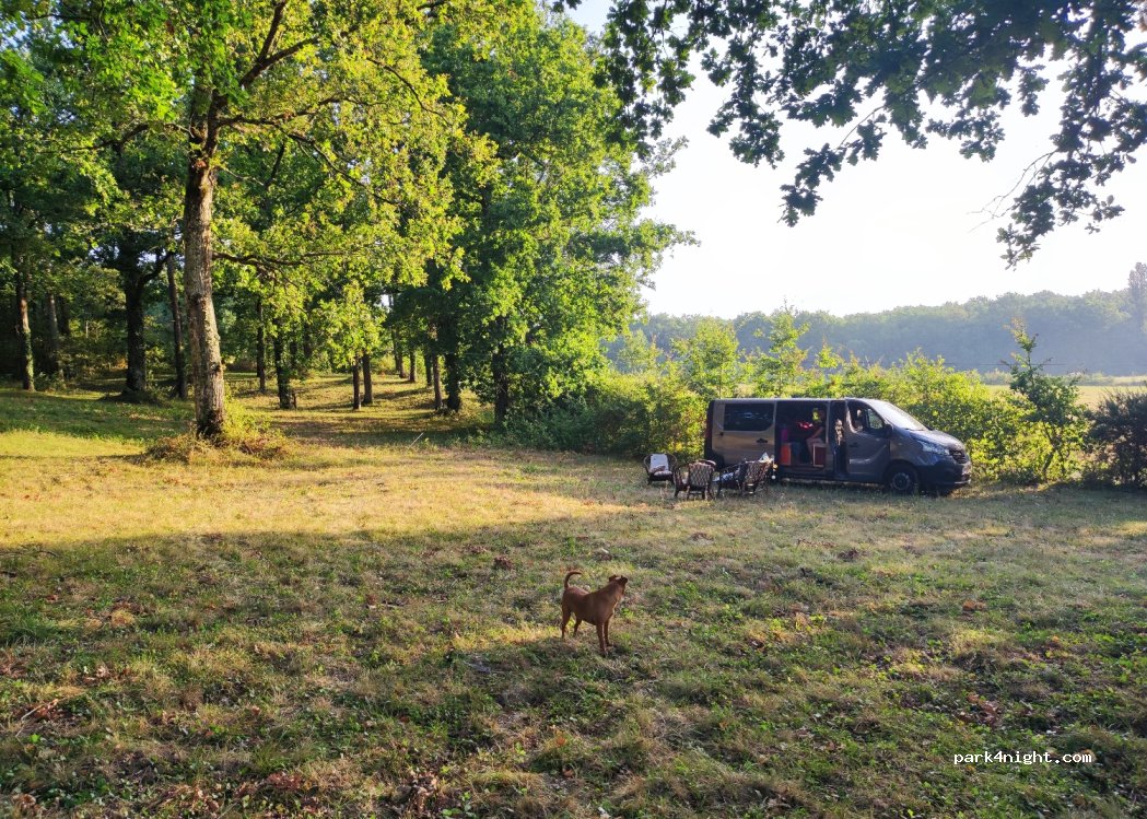 (82110) Cazes-Mondenard - 2080 Les Pallades — foto 2