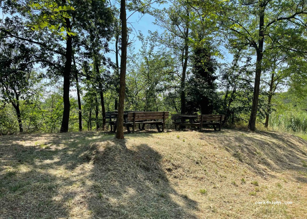 (14049) Vaglio Serra - Strada Provinciale 40 — foto 3