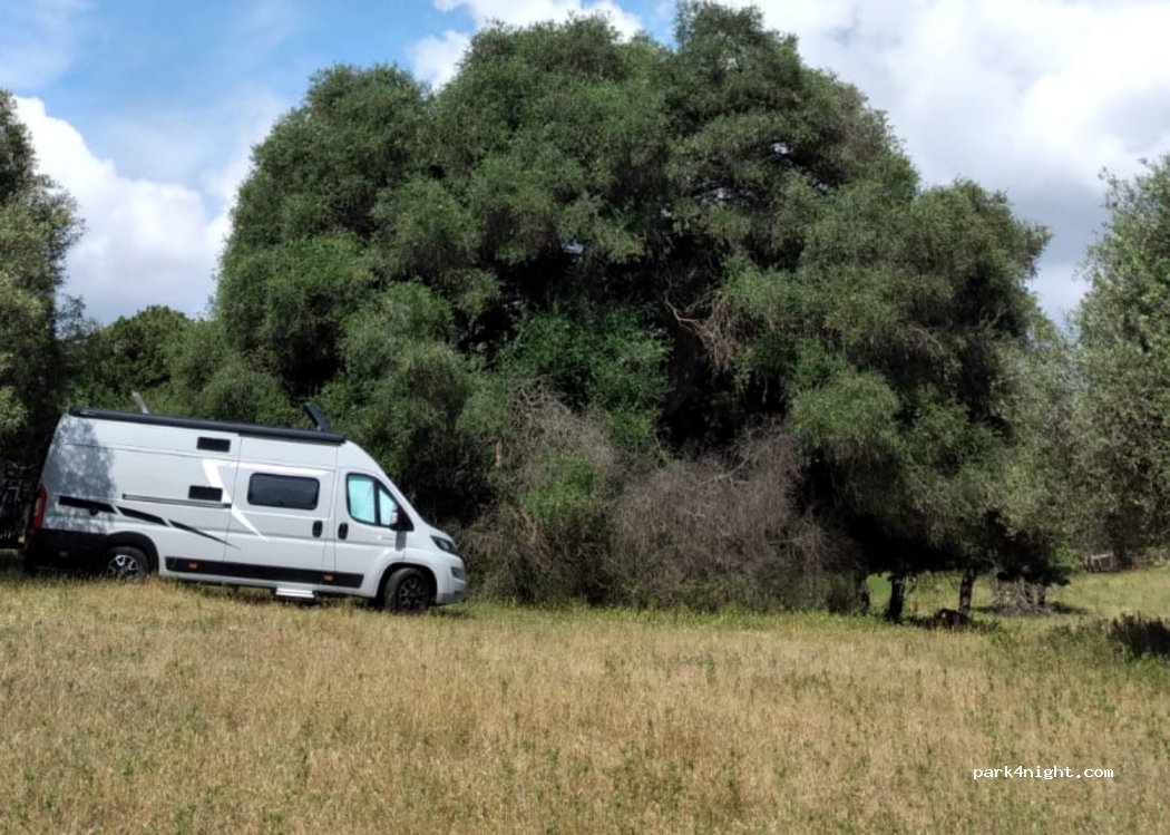 Agriturismo L' Olivastro - Fattoria Didattica — foto 4