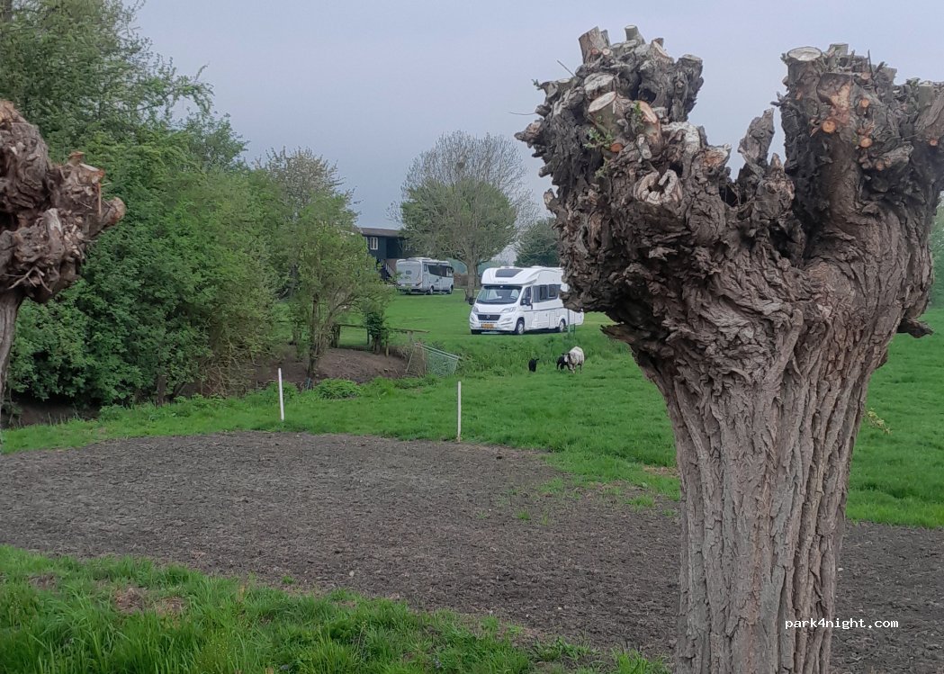 Camping ¨De Groene Waard¨ — foto 4