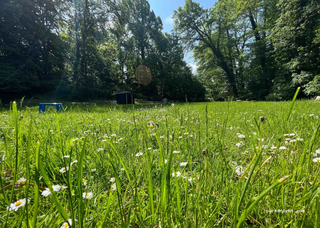 Gajówka Ralcewiczowka — foto 4