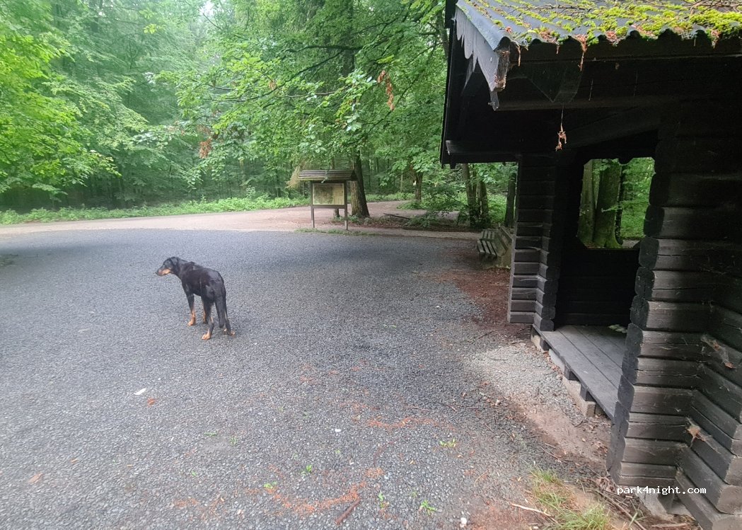 (34454) Arolsen - Unnamed Road — foto 3