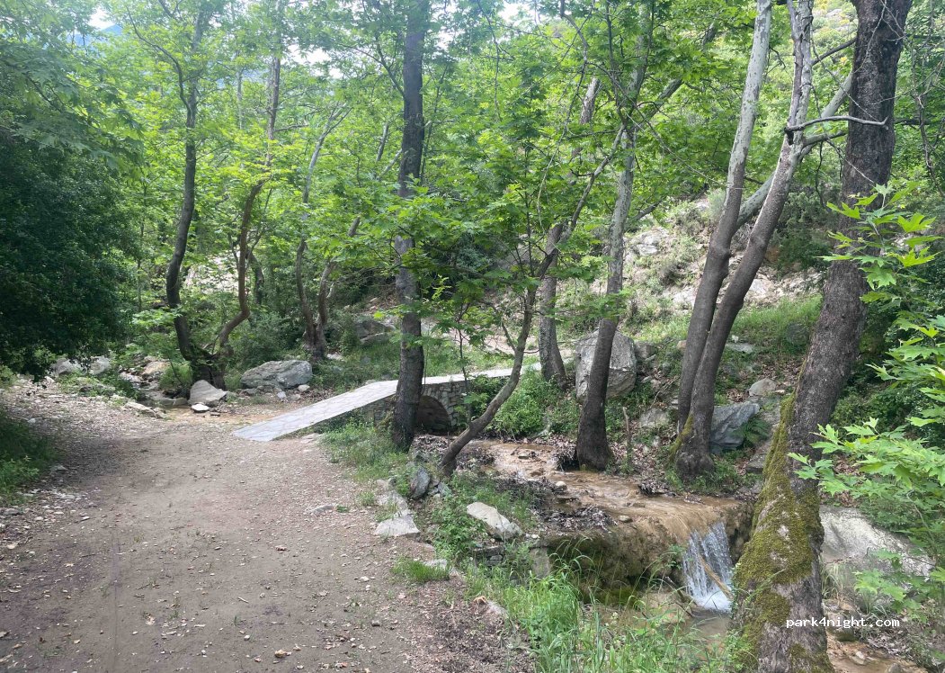(640 08) Mesoropi - Unnamed road — foto 2
