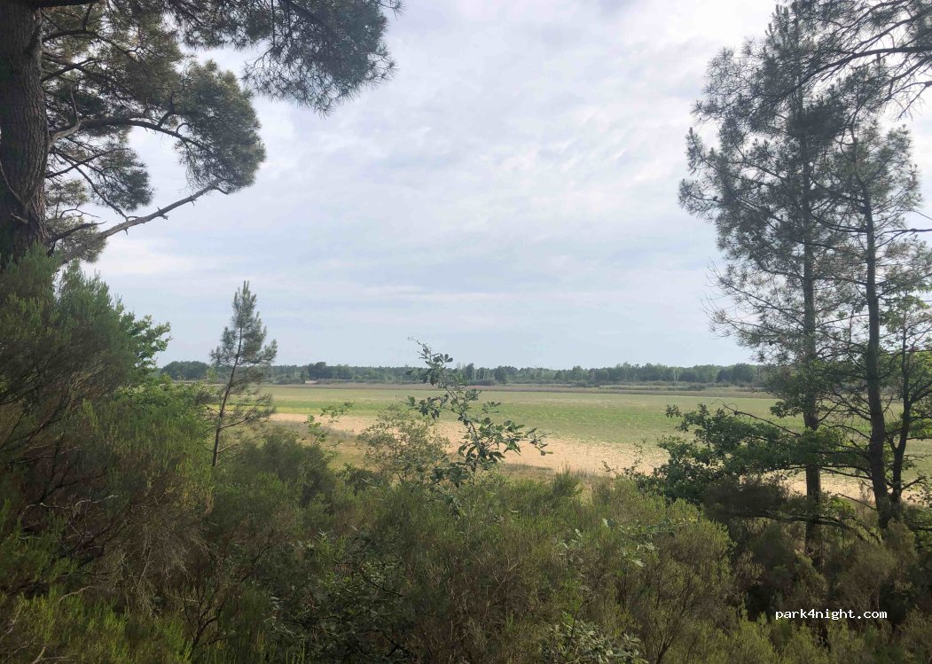 (36290) Mézières-en-Brenne - — foto