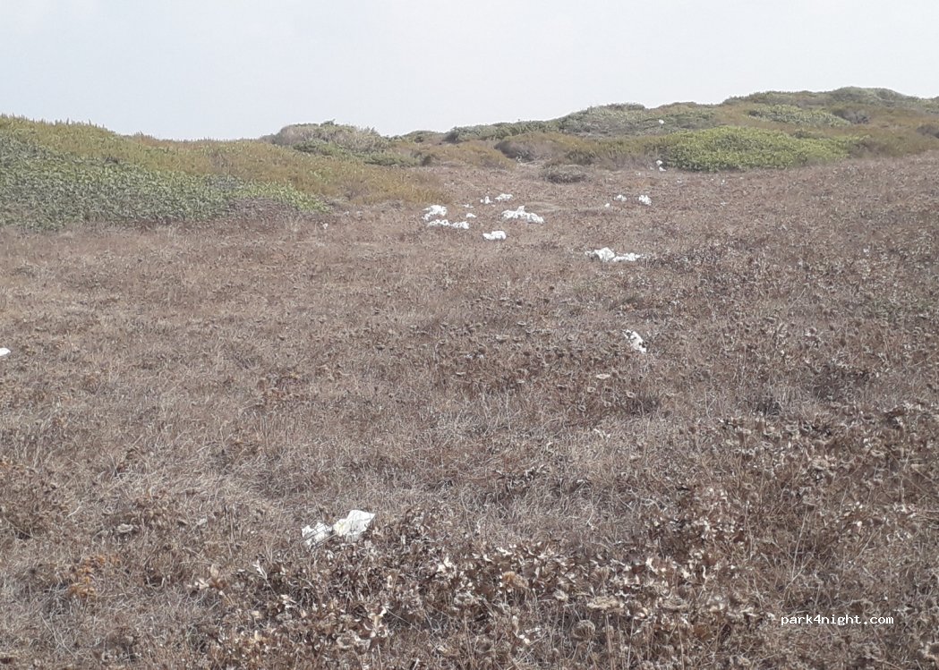 (07041) Alghero - Mirador Giuni Russo — foto 3