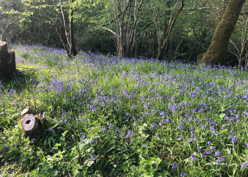 Exmoor Camping — foto
