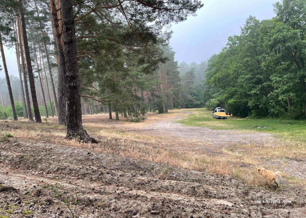(66) Lubiatów - — foto
