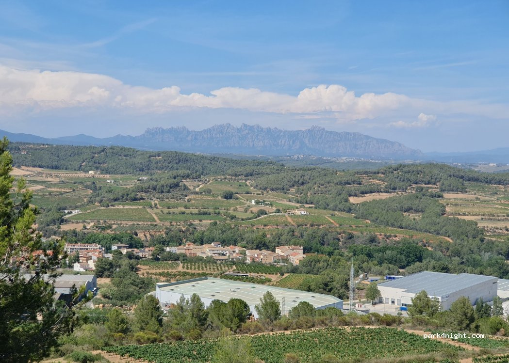 (08775) Torrelavit - — foto 2