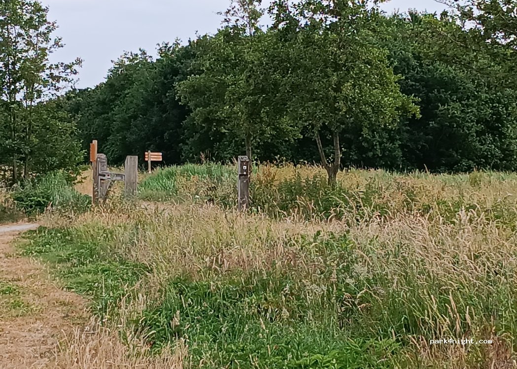 (2731) Benthuizen - Boslaan — foto 2
