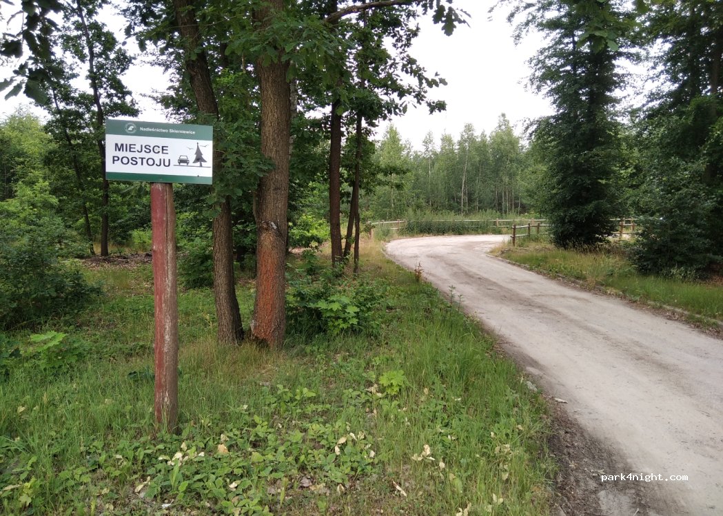 (96-214) Niemgłowy - 707 — foto