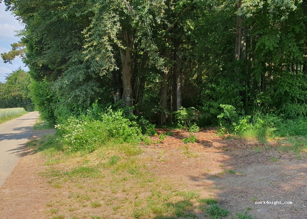 (79761) Waldshut-Tiengen - Unnamed Road — foto 3