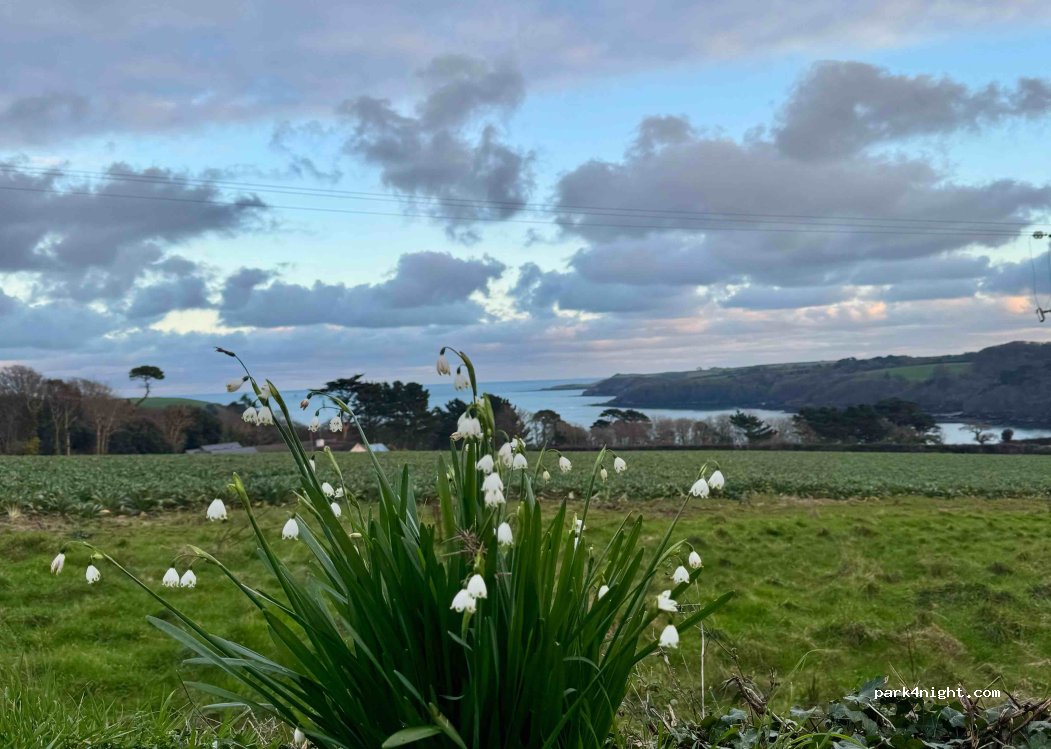 (TR11 5LR) Falmouth - Bar Road — foto 5