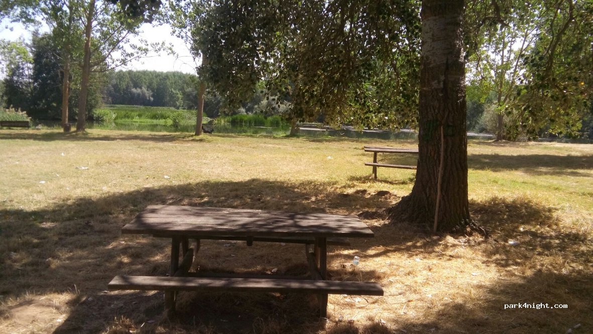 (49751) Bretó - ZA-100 — foto