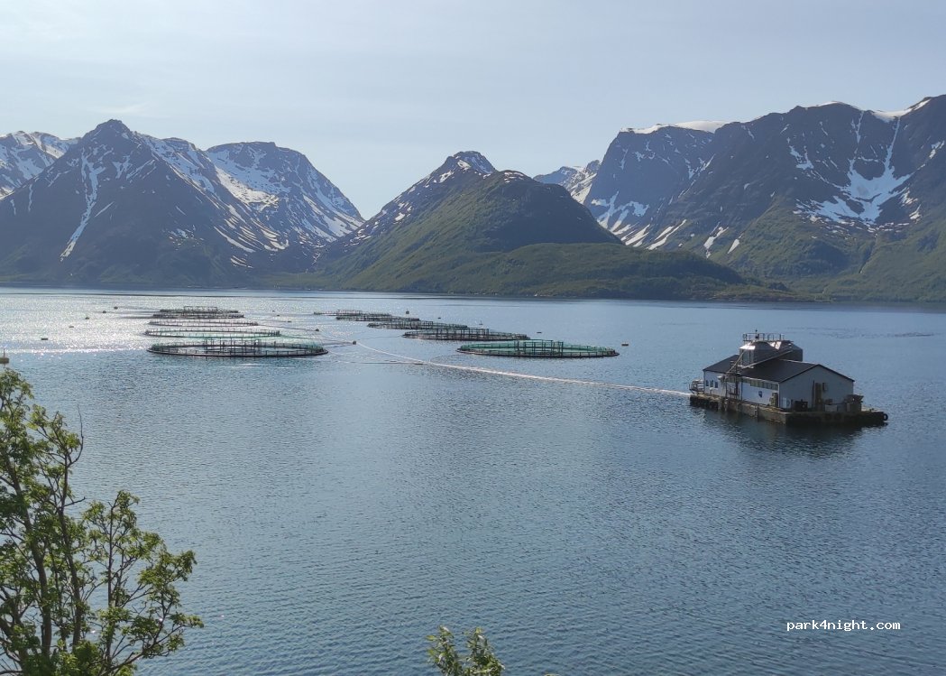 (9552) Øksfjord - Fv882 — foto
