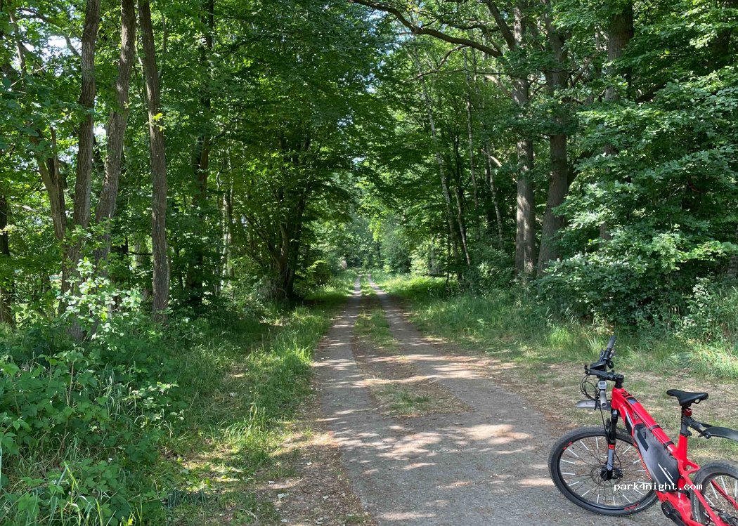 (24647) Ehndorf - Unnamed Road — foto