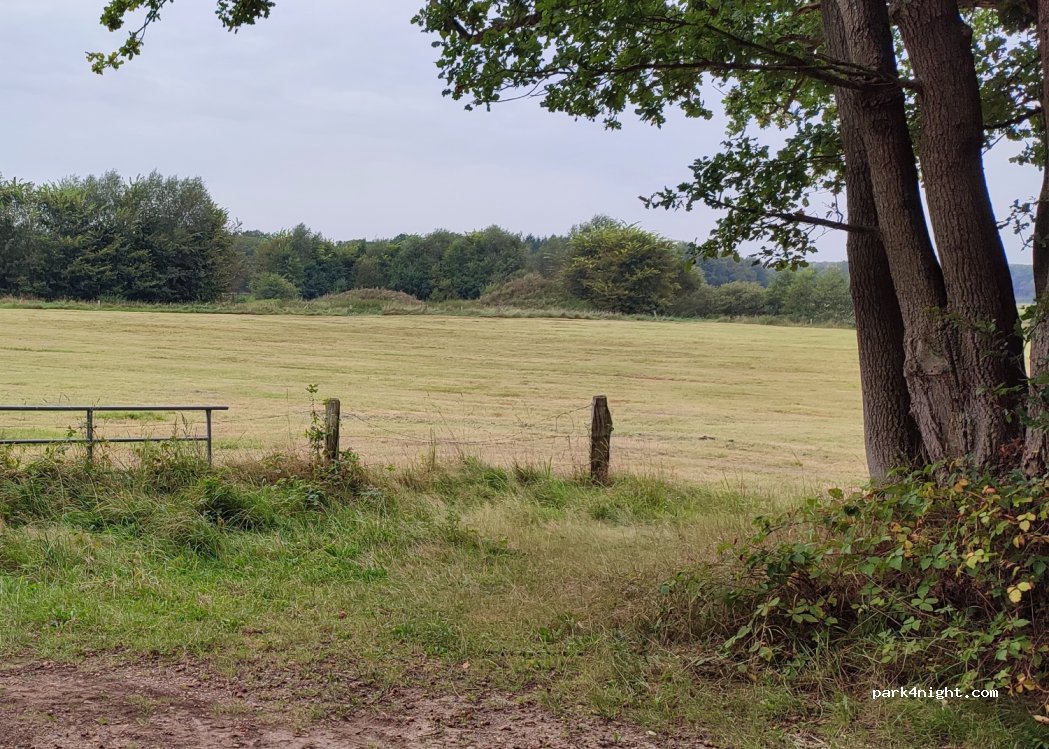 (24647) Ehndorf - Unnamed Road — foto 4