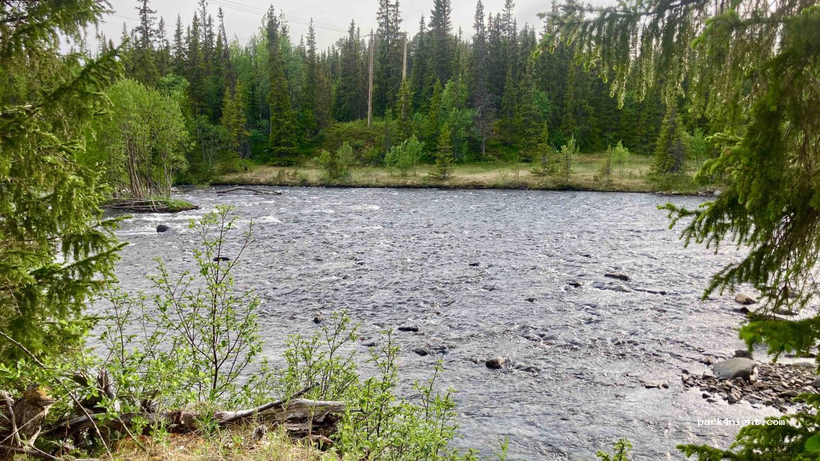 (845 99) Ljungdalen - — foto