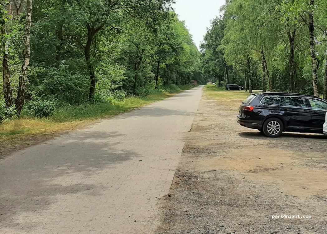 (49696) Molbergen - Große Tredde — foto 2