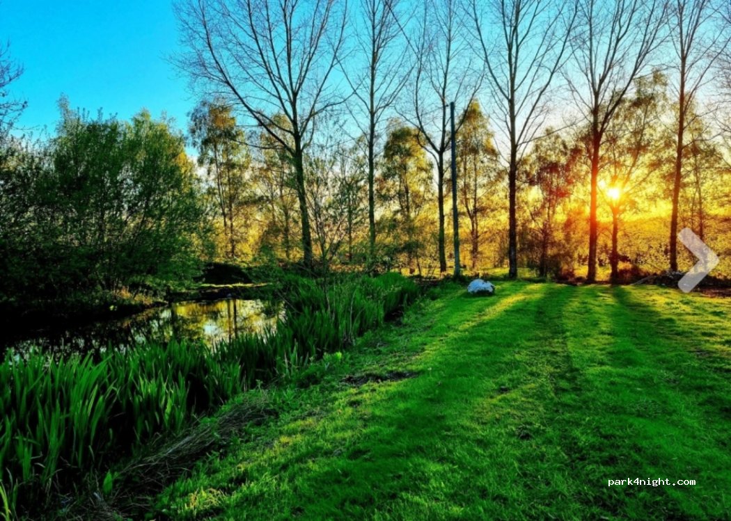 Hilly Springs Campsite — foto 2