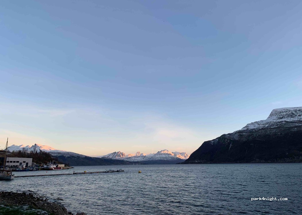 Elvegaard Camping — foto 2