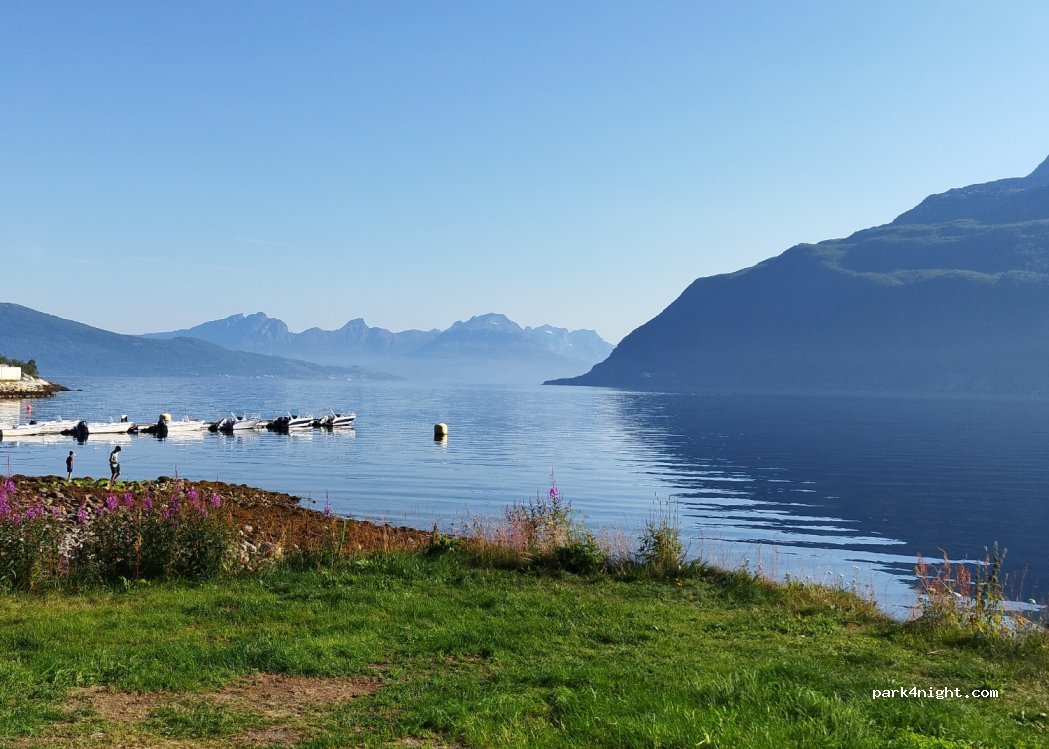 Elvegaard Camping — foto 4