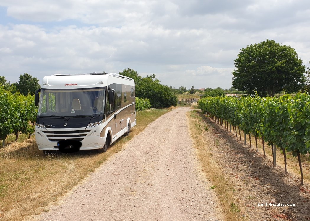 Campingwiese Weingut am Honigberg — foto