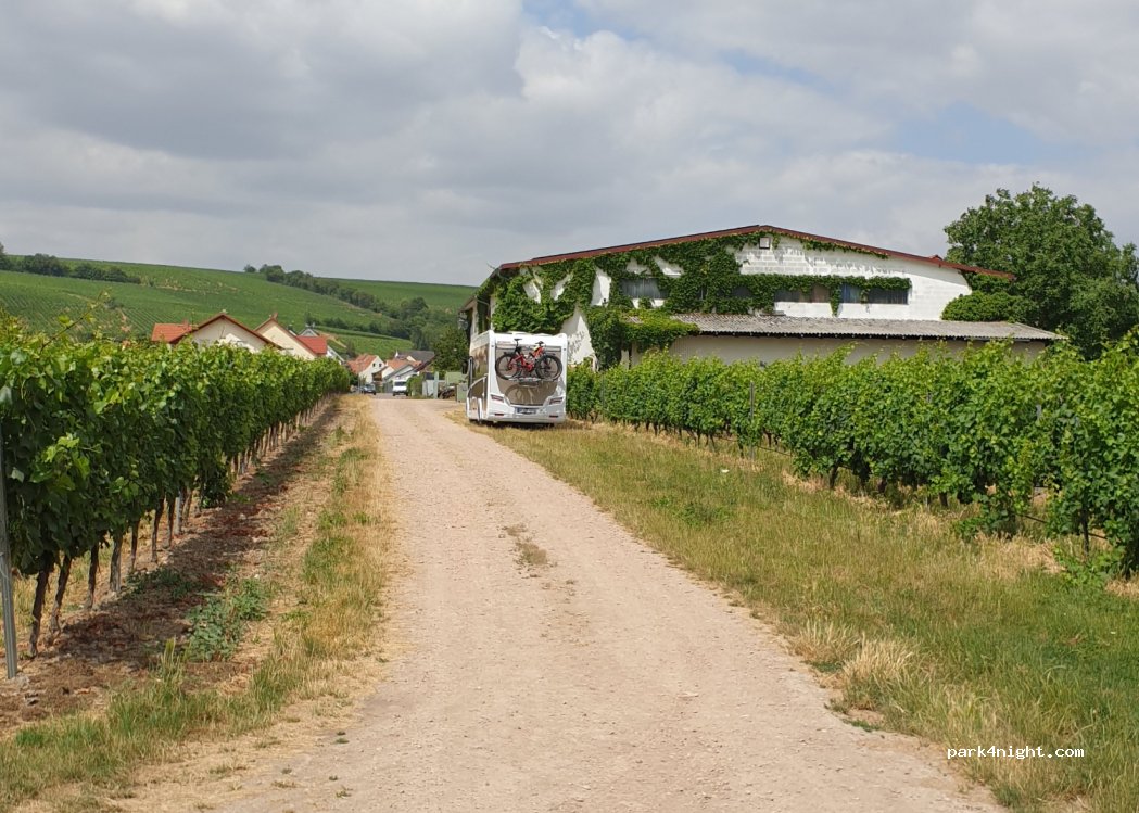 Campingwiese Weingut am Honigberg — foto 2