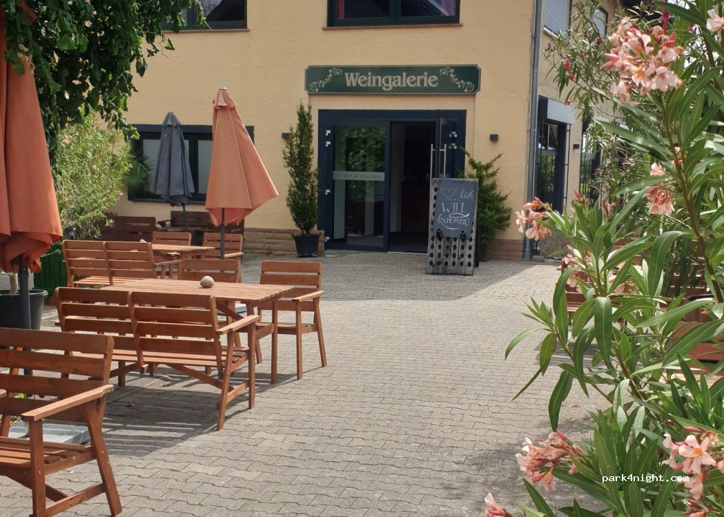 Campingwiese Weingut am Honigberg — foto 3