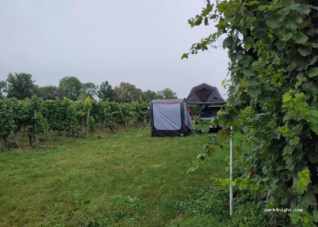 Campingwiese Weingut am Honigberg — foto 4