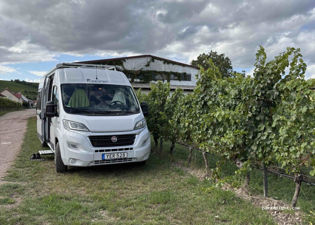 Campingwiese Weingut am Honigberg — foto 5