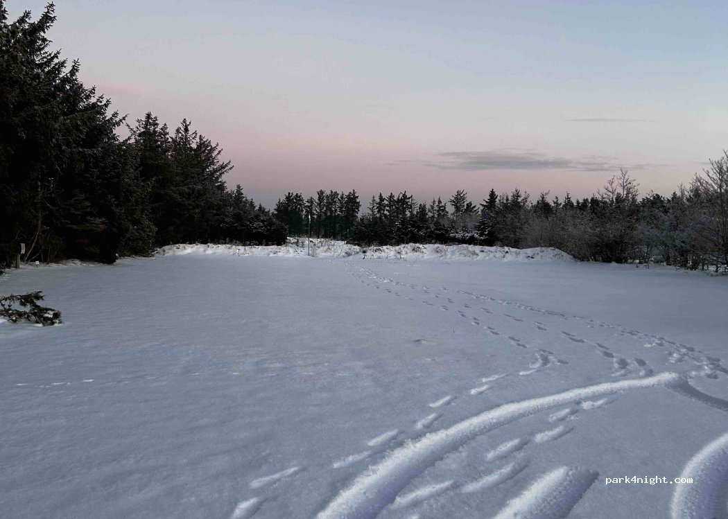 Blokhus Natur Camping — foto 2