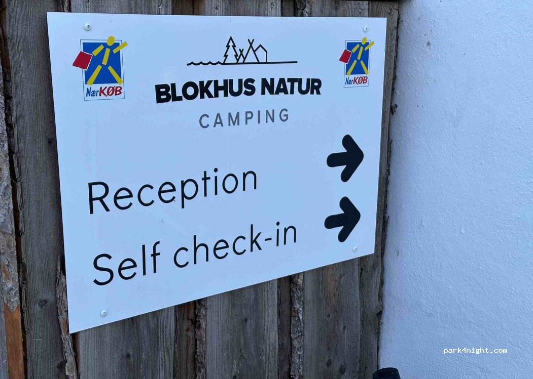 Blokhus Natur Camping — foto 4
